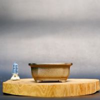 Горщик 13,5/11/5 см